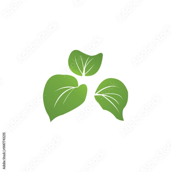 Fototapeta Green leaf ecology nature element vector icon, Leaf Icon, Green leaf ecology nature element vector