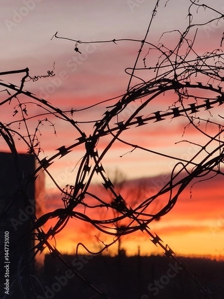 Obraz War in Ukraine