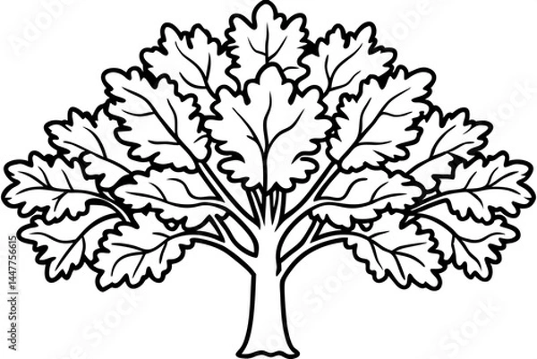 Fototapeta Rustic Oak Tree Outline Illustrations