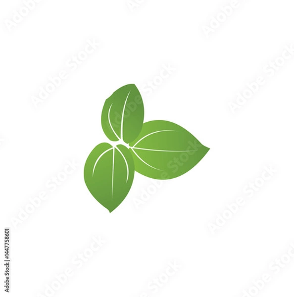 Fototapeta Green leaf ecology nature element vector icon, Leaf Icon, Green leaf ecology nature element vector