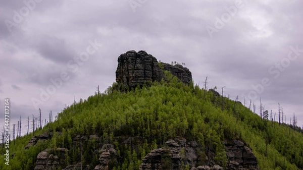 Fototapeta view from the hill
