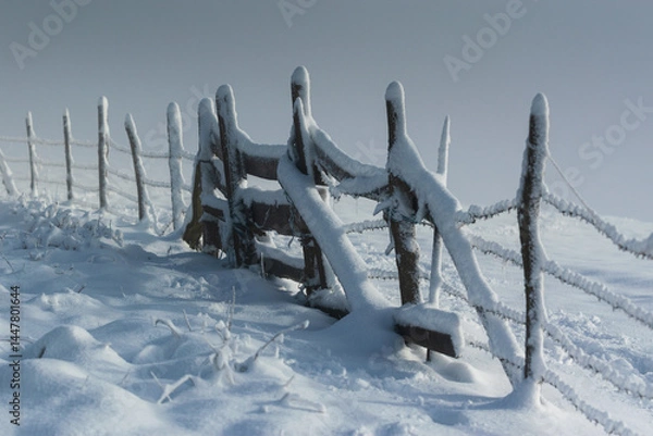 Fototapeta Old wooden gate on cattle pen in winter, snow drifted on poles and barbed wire, winter landscape with fog in background