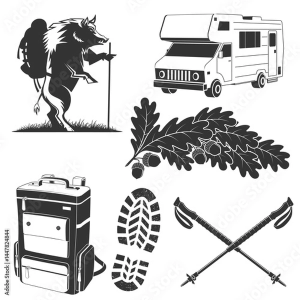 Obraz Set of camping and hiking elements. Vector. Hiker wild boar with backpack, backpack, camper rv, hiking poles, hiking boot print, footprint, oak leaf and acorns. Design element for label, badge, emblem