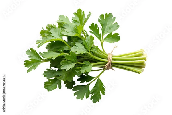 Fototapeta A bunch of fresh parsley is tied together. The parsley is green and fresh, and it looks like it is ready to be used in a recipe