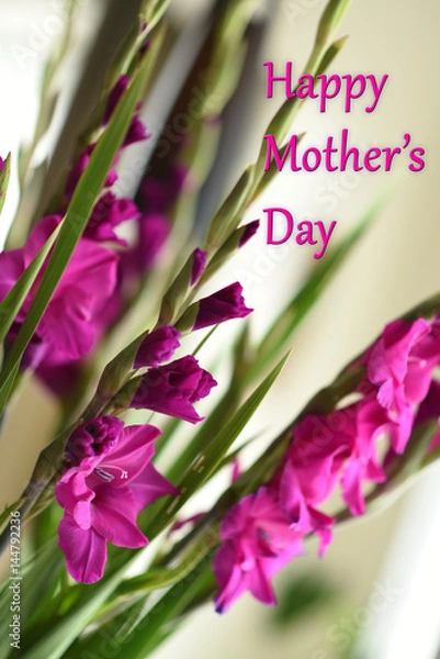 Obraz Mother's Day 2