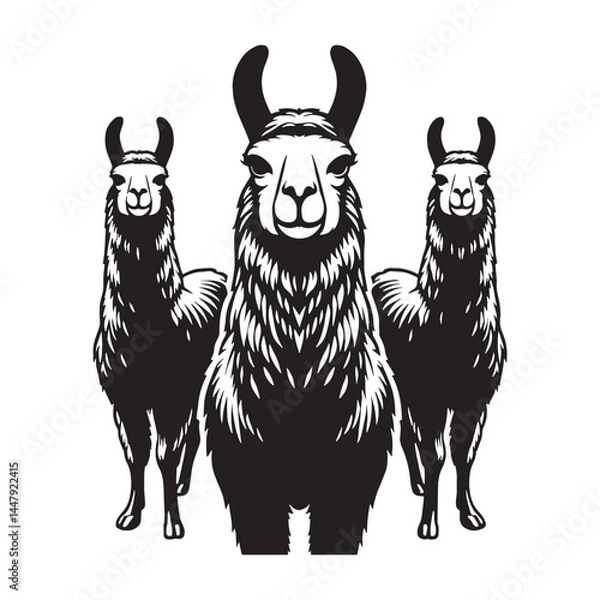 Fototapeta Unique llama silhouette vector tailored for sophisticated designs – llama silhouette – llama vector – llama illustration – silhouette of llama

