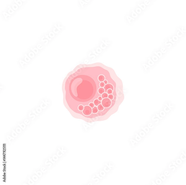 Fototapeta Chlamydia Vektor Illustration 
