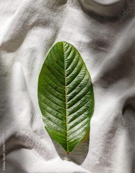 Fototapeta Top-down view of guava leaf on white linen fabric, soft shadows, organic mood, clean layout for natural skincare branding.