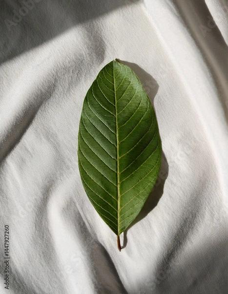 Fototapeta Top-down view of guava leaf on white linen fabric, soft shadows, organic mood, clean layout for natural skincare branding.