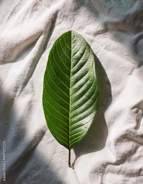 Fototapeta Top-down view of guava leaf on white linen fabric, soft shadows, organic mood, clean layout for natural skincare branding.