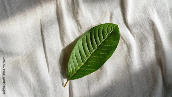 Fototapeta Top-down view of guava leaf on white linen fabric, soft shadows, organic mood, clean layout for natural skincare branding.