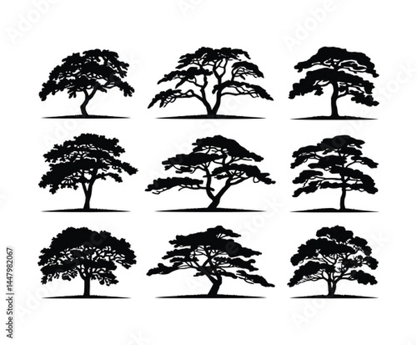 Fototapeta Yew Tree Silhouette Set in Vector Format