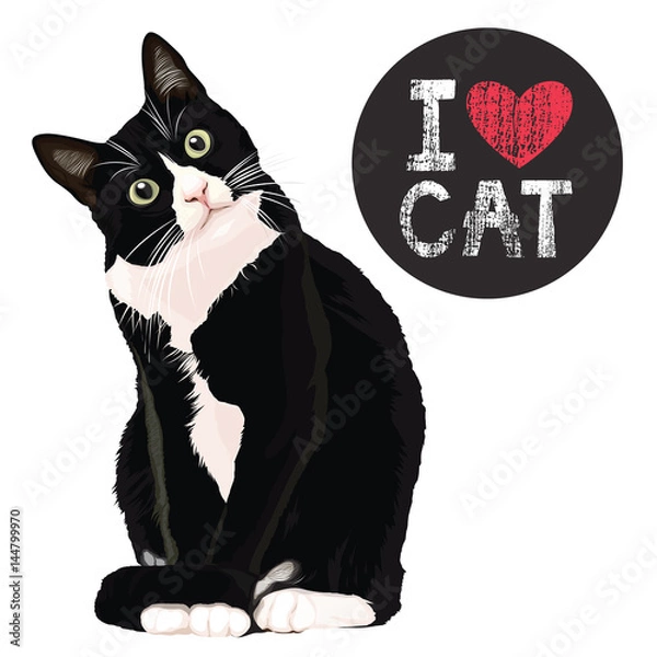 Obraz kocham kota