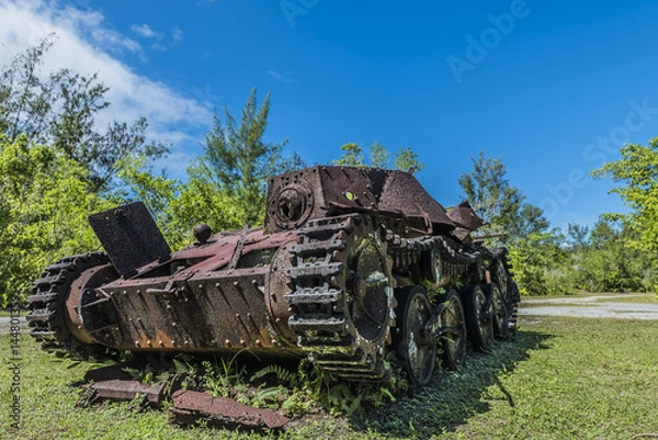 Fototapeta パラオ共和国　ペリリュー島
