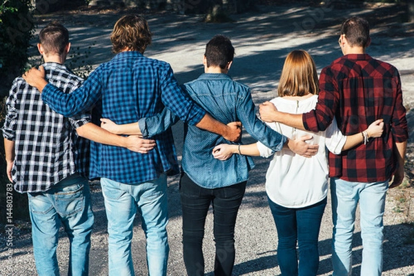 Obraz Back view of five friends embracing
