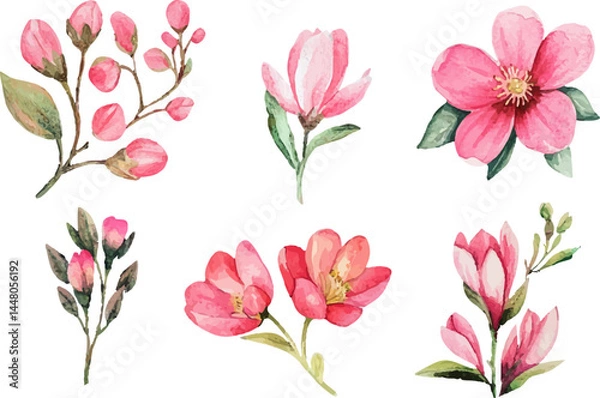 Obraz set of pink flowers
