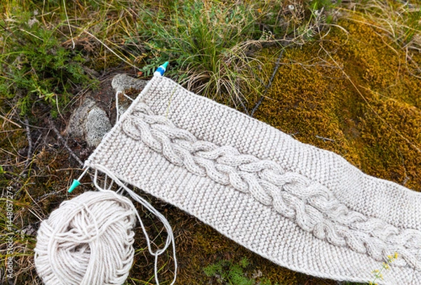 Fototapeta Relaxation in forest park and knitting in nature. Top view of handmade knitted warm scarf with braid made of natural wool yarn against soft green moss and grass in forest. DIY concept. Close-up