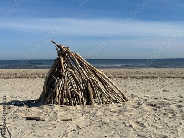 Fototapeta dead tree on the beach