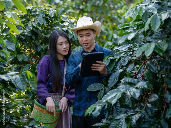 Fototapeta Smart farmer using laptop in green coffee farm sustainable quality control agriculture technology Harvest coffee bean ripe Red berries typing laptop computer check quality control plant coffee tree.