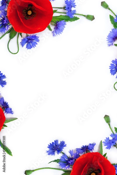 Fototapeta Flowers red poppies ( corn poppy, corn rose, field poppy ), blue flowers cornflower on a white background with space for text. Top view, flat lay