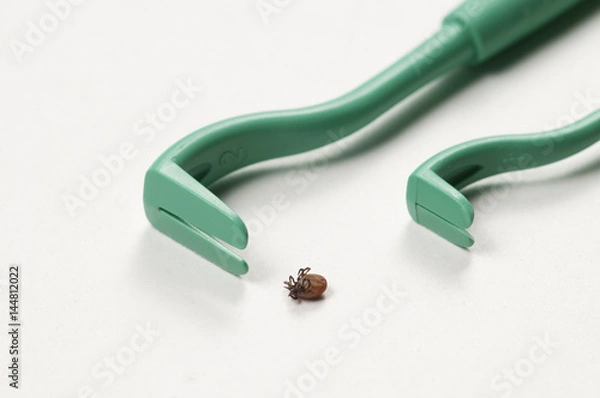 Obraz Mite and extractor tool