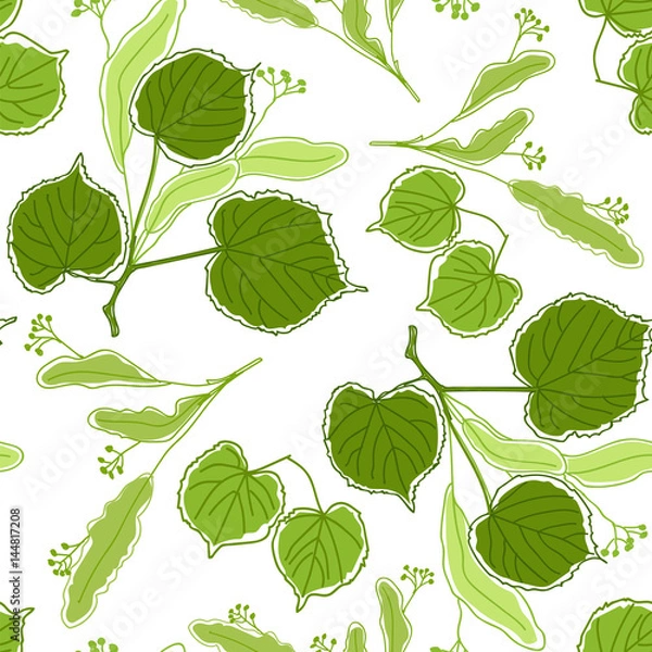 Fototapeta Seamless pattern with blossoming linden tree branches on a white background,  flowers of linden tree.