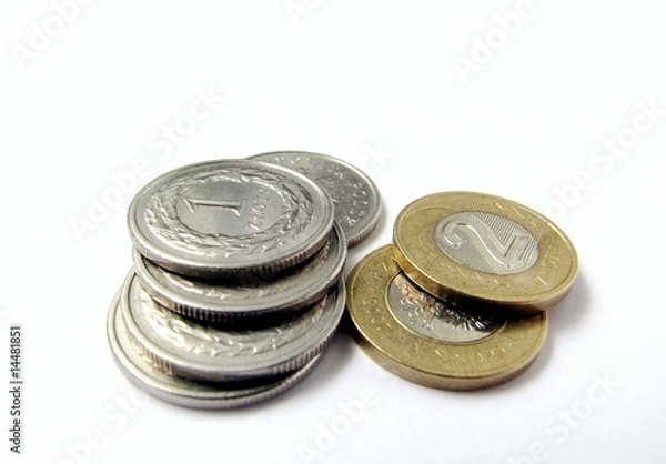 Obraz Polish coins