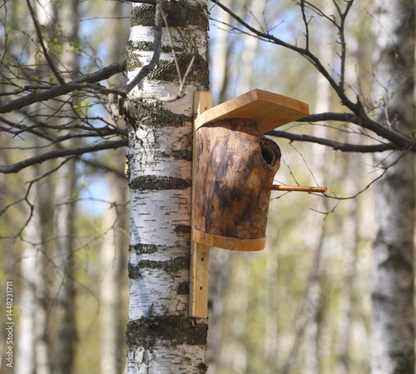 Fototapeta The original wooden birdhouse is attached to a birch tree