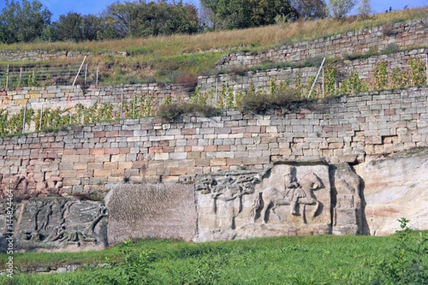 Fototapeta Weinberg und Steinernes Festbuch am Blütengrund in Großjena