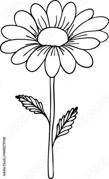 Fototapeta Chamomile line art. Flat isolated  hand drawn flowers. Minimalist style vector illustration