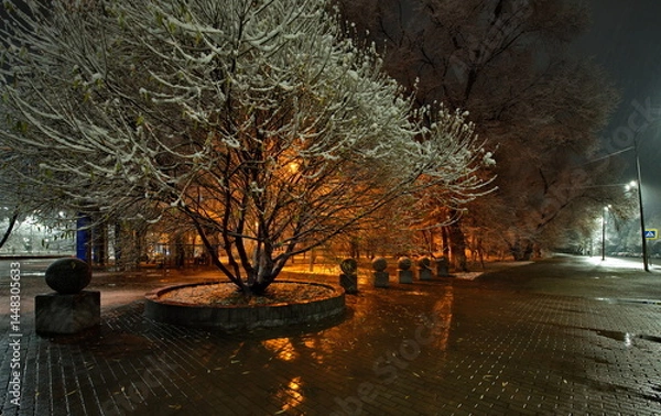 Fototapeta Novokuznetsk, Russia. November 01, 2024. A picturesque view of the trees of the city park covered with the first autumn snow and illuminated by lanterns of warm and cold light.