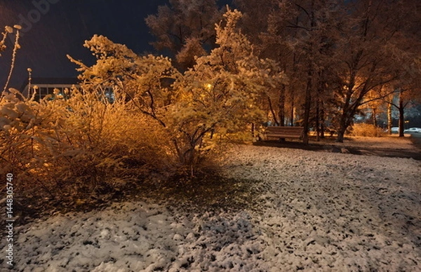 Fototapeta Novokuznetsk, Russia. November 01, 2024. A picturesque view of the trees of the city park covered with the first autumn snow and illuminated by lanterns of warm and cold light.