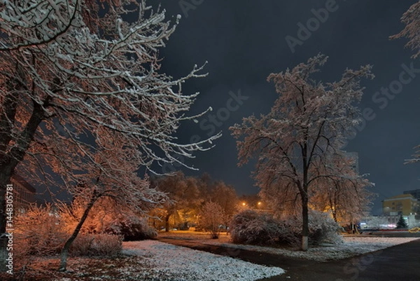 Fototapeta Novokuznetsk, Russia. November 01, 2024. A picturesque view of the trees of the city park covered with the first autumn snow and illuminated by lanterns of warm and cold light.