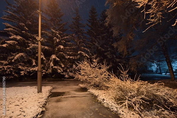 Fototapeta Novokuznetsk, Russia. November 01, 2024. A picturesque view of the trees of the city park covered with the first autumn snow and illuminated by lanterns of warm and cold light.