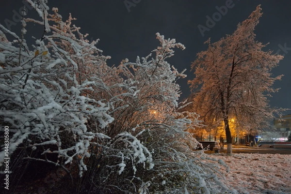 Fototapeta Novokuznetsk, Russia. November 01, 2024. A picturesque view of the trees of the city park covered with the first autumn snow and illuminated by lanterns of warm and cold light.