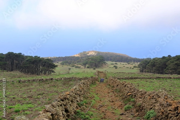 Obraz landscape around El Sabinar, El Hierro, Canary Islands, Spain