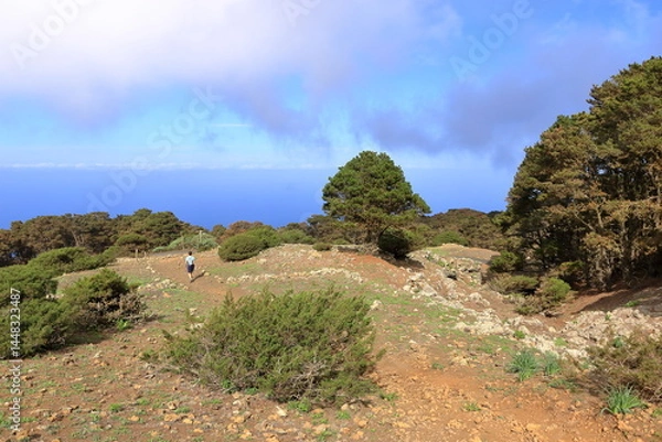 Obraz landscape around El Sabinar, El Hierro, Canary Islands, Spain