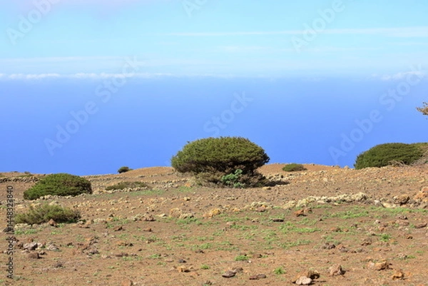 Obraz landscape around El Sabinar, El Hierro, Canary Islands, Spain