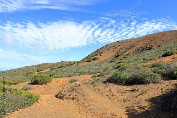 Obraz landscape around El Sabinar, El Hierro, Canary Islands, Spain