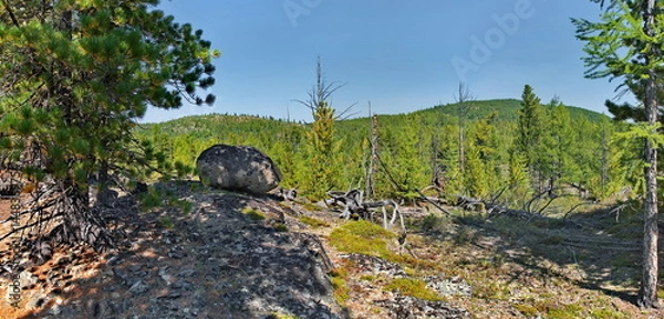 Fototapeta Russia, Buryatia. Panorama of the rocky peak of a mountain pass surrounded by taiga trees.