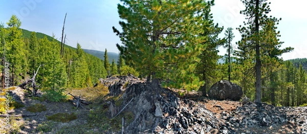 Fototapeta Russia, Buryatia. Panorama of the rocky peak of a mountain pass surrounded by taiga trees.