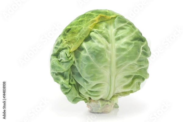 Obraz Fresh young cabbage isolated on white