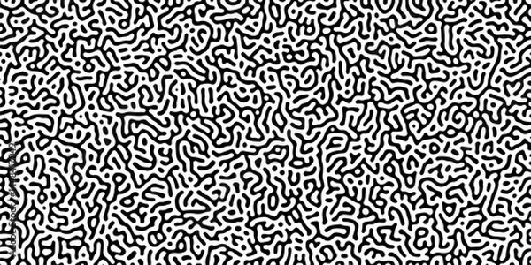 Obraz Diffusion reaction seamless vector pattern. Natural seamless line pattern. Linear design with biological shapes. Reaction-diffusion or truing pattern formation. abstract truing organic wallpaper.	