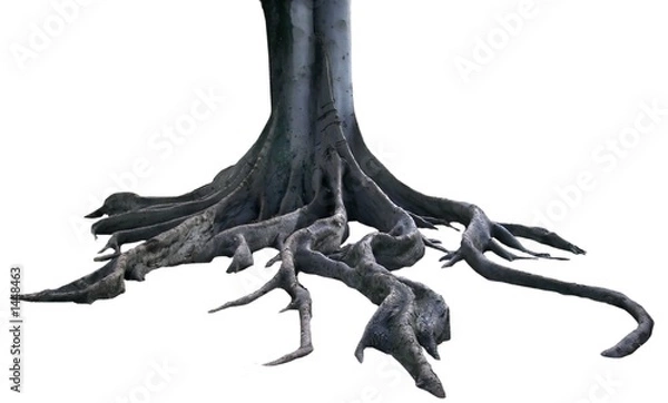 Fototapeta isolated roots