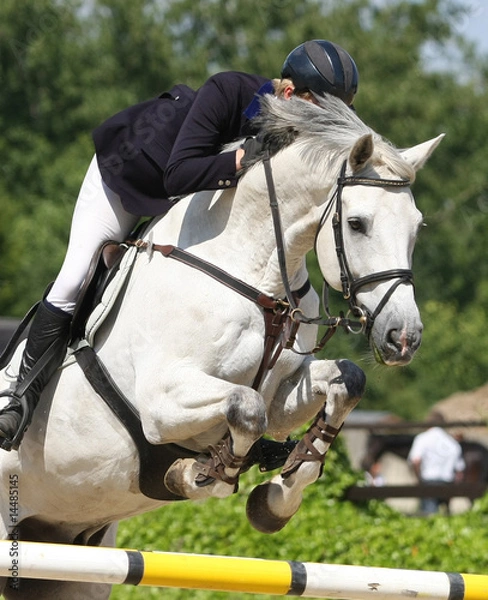 Obraz Reitsport- Springen