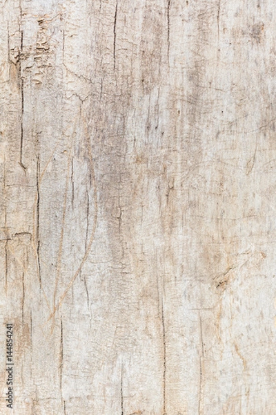 Obraz Old wood texture background