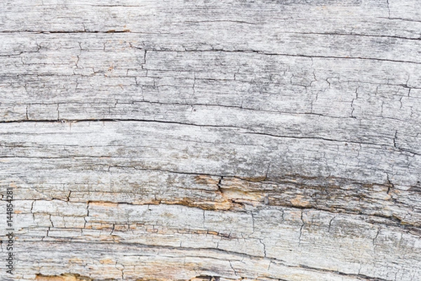 Obraz Old wood texture background