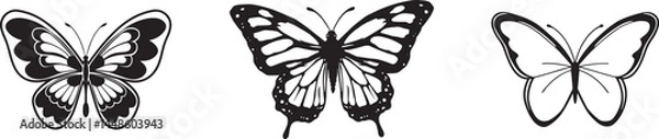 Fototapeta Beautiful Butterfly Illustrations Detailed Vector Images for Creative Projects  Wings Antennae Nature Art