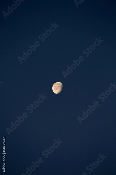 Obraz 明け方の月