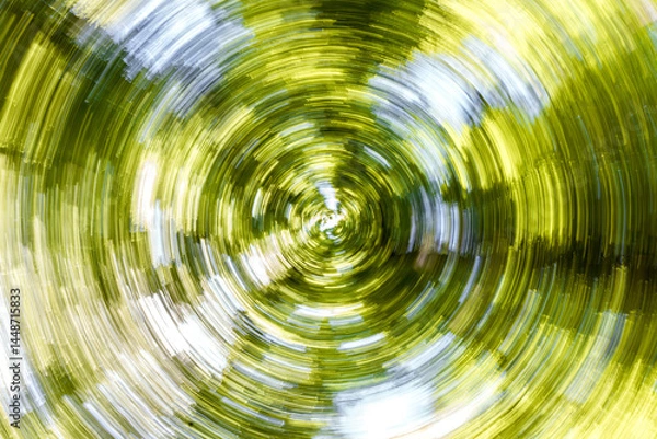Fototapeta A Beautiful Spiral View of a Lush, Vibrant Green Forest Canopy Overhead and Beyond